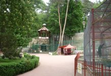 Consilierii locali nu au aprobat alocarea a 5 milioane de euro pentru gradina zoologica