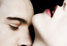 Despre Serialul Young Dracula