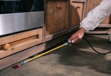 Când trebuie acționat de urgență în cazul prezenței șobolanilor?