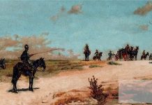 QBI, Banca de imagini Don Quijote