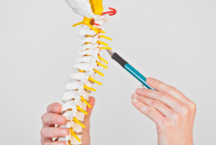 spondilolisteza-recomandari-post-operatorii.jpg